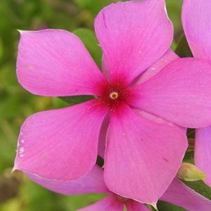 Meet your Posher, Kavi